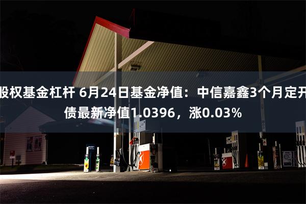 股权基金杠杆 6月24日基金净值：中信嘉鑫3个月定开债最新净值1.0396，涨0.03%