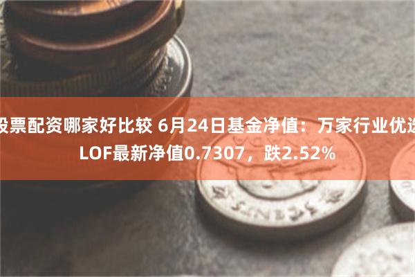 股票配资哪家好比较 6月24日基金净值：万家行业优选LOF最新净值0.7307，跌2.52%