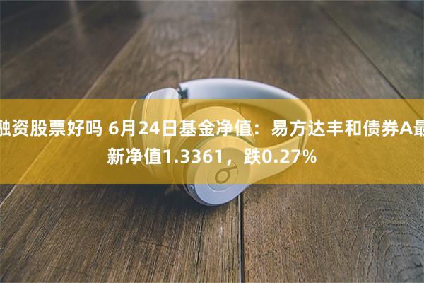 融资股票好吗 6月24日基金净值：易方达丰和债券A最新净值1.3361，跌0.27%