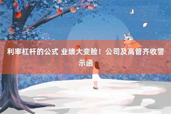 利率杠杆的公式 业绩大变脸！公司及高管齐收警示函