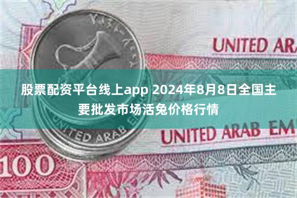 股票配资平台线上app 2024年8月8日全国主要批发市场活兔价格行情