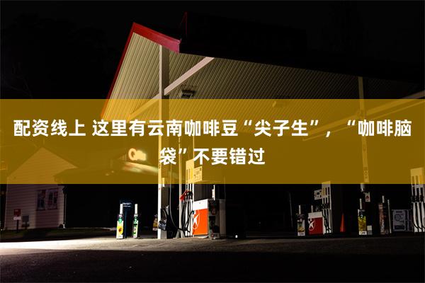 配资线上 这里有云南咖啡豆“尖子生”，“咖啡脑袋”不要错过