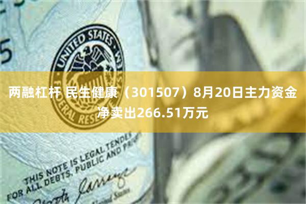 两融杠杆 民生健康（301507）8月20日主力资金净卖出266.51万元