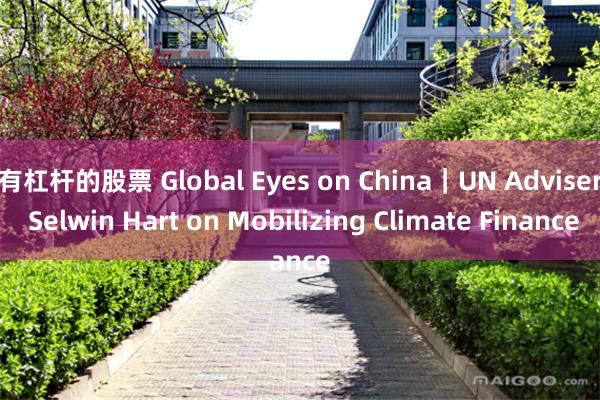 有杠杆的股票 Global Eyes on China｜UN Adviser Selwin Hart on Mobilizing Climate Finance