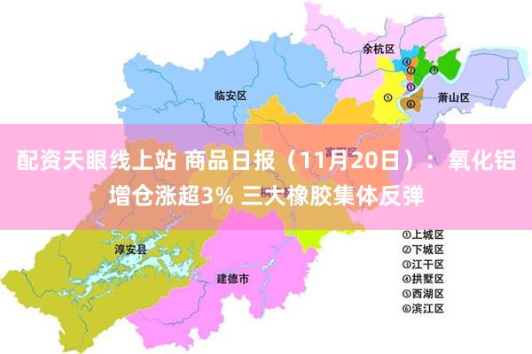 配资天眼线上站 商品日报（11月20日）：氧化铝增仓涨超3% 三大橡胶集体反弹