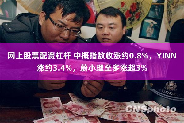 网上股票配资杠杆 中概指数收涨约0.8%，YINN涨约3.4%，蔚小理至多涨超3%