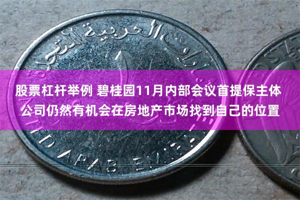 股票杠杆举例 碧桂园11月内部会议首提保主体 公司仍然有机会在房地产市场找到自己的位置