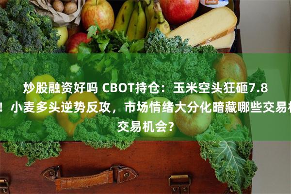 炒股融资好吗 CBOT持仓：玉米空头狂砸7.8万手！小麦多头逆势反攻，市场情绪大分化暗藏哪些交易机会？